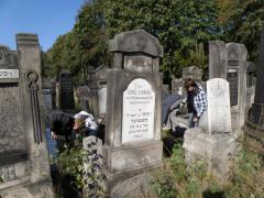 Porządkowanie Cmentarza Żydowskiego