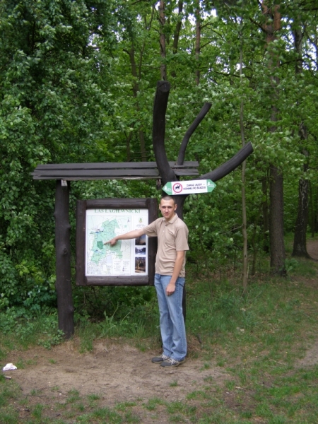 Plan lasu Łagiewnickiego